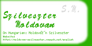 szilveszter moldovan business card